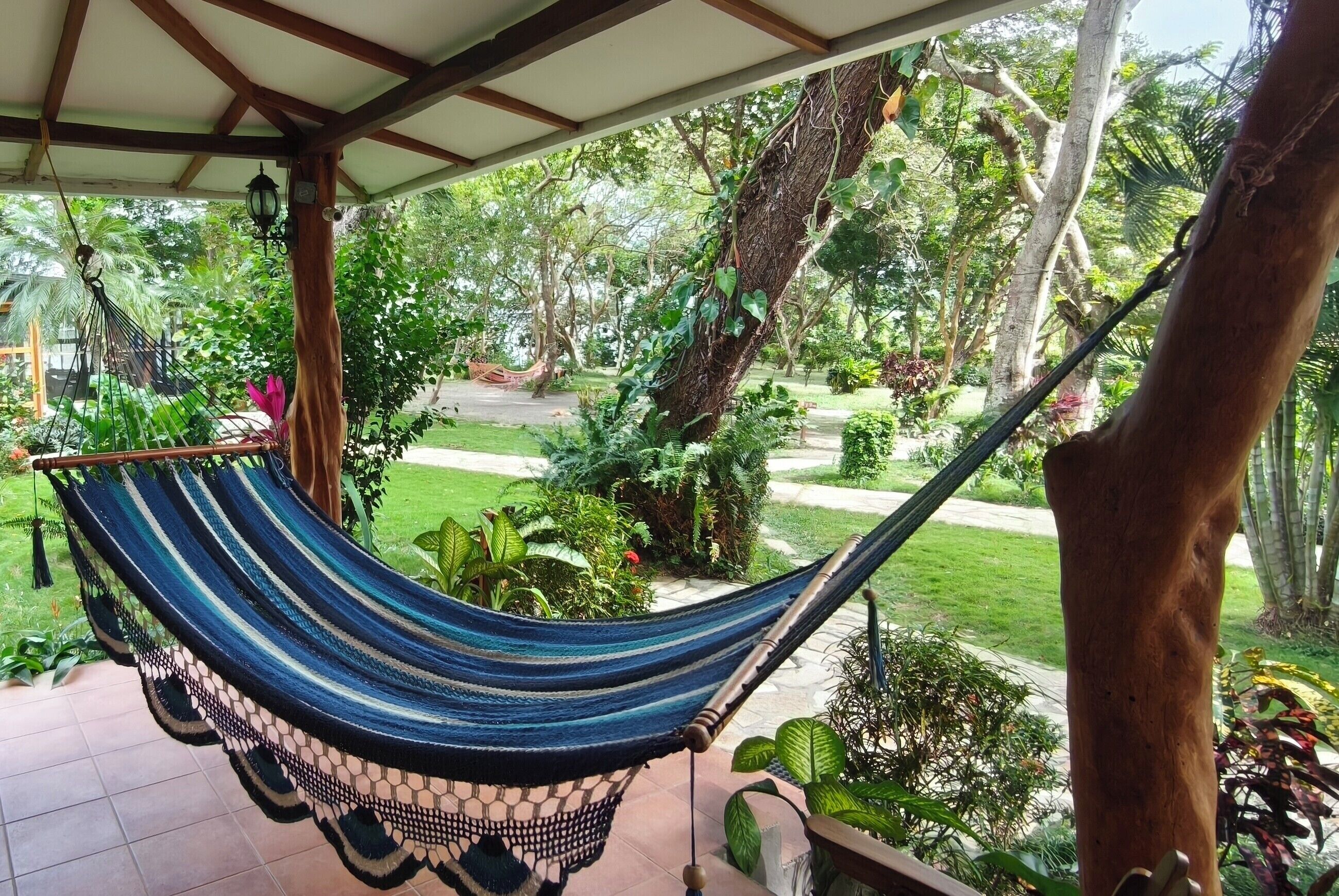 Superior Double Room, Patio, Garden View | View from room