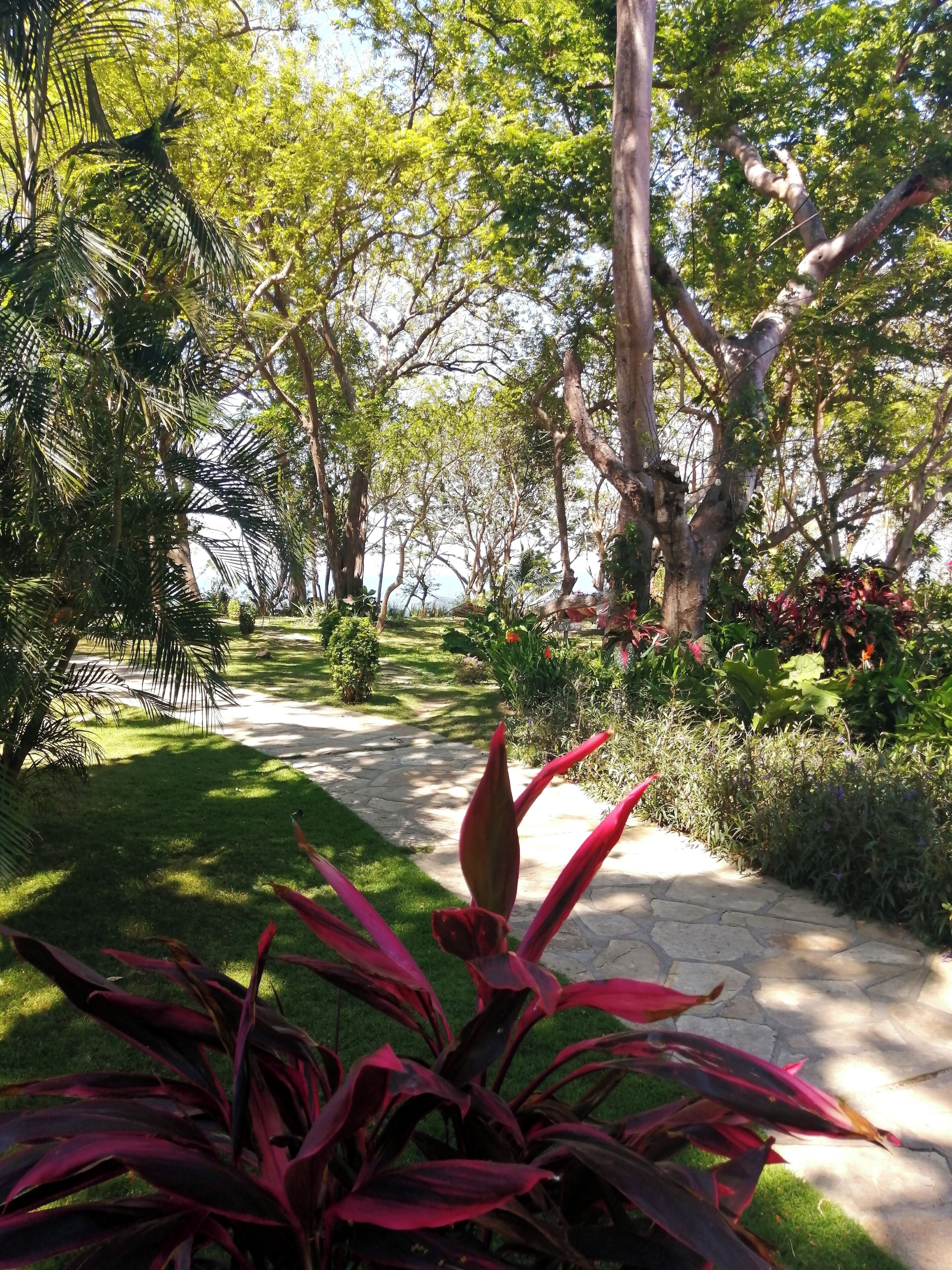 A garden pathway surrounded by lush greenery and trees.