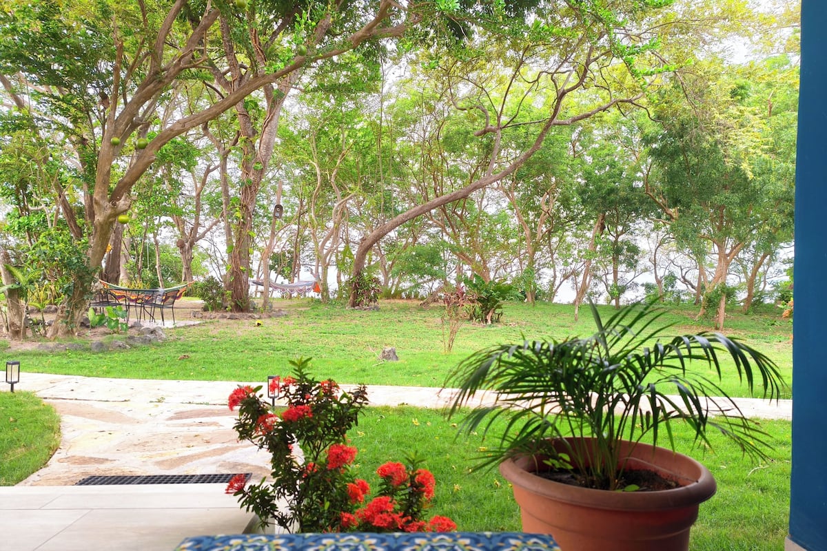 Chambre luxueuse double, balcon, vue sur le jardin | Vue sur le lac