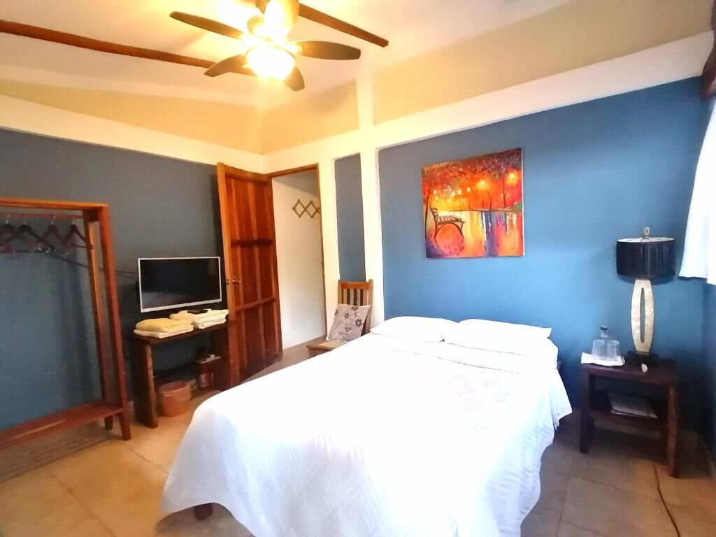 Une chambre à coucher avec un lit, une télévision, un tableau et un ventilateur de plafond.