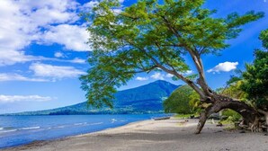 Una playa con un árbol grande, cielo azul claro y una montaña al fondo.