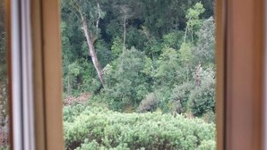 A window with a view of a forested area, including trees and a grassy field. - Vacation House Dolce Angelo 21, with view of Amphitheater, in the heart of the historic center (Sutri)