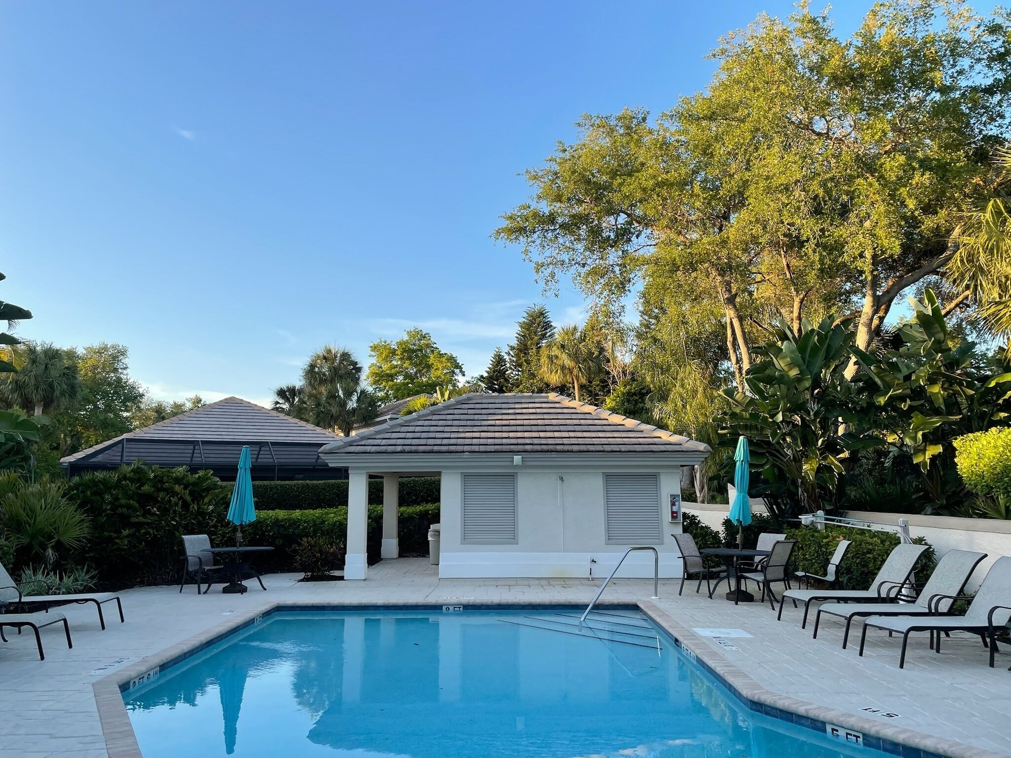 A swimming pool with lounge chairs and umbrellas, surrounded by greenery and a small pavilion.
