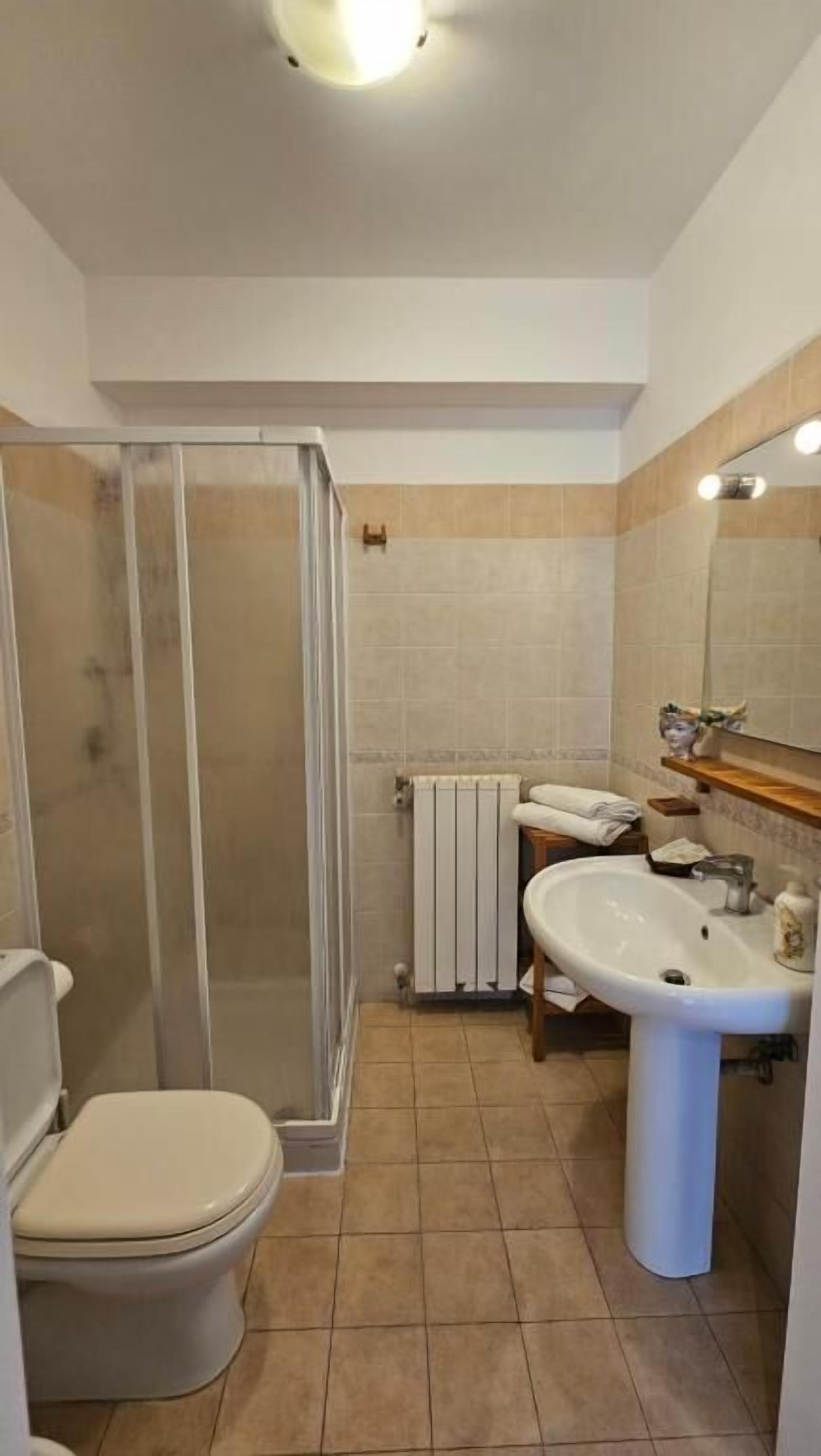 A bathroom with a toilet, a shower enclosure, a sink, and a mirror.