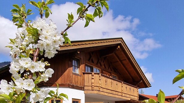 A wooden chalet with a balcony, surrounded by blooming white flowers and a well-maintained lawn. - Apartment 'Ferienwohnung Gipfelblick' with Mountain View, Balcony and Wi-Fi (Oberau)