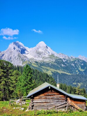 Miscellaneous - Apartment 'Ferienwohnung Gipfelblick' with Mountain View, Balcony and Wi-Fi (Oberau)