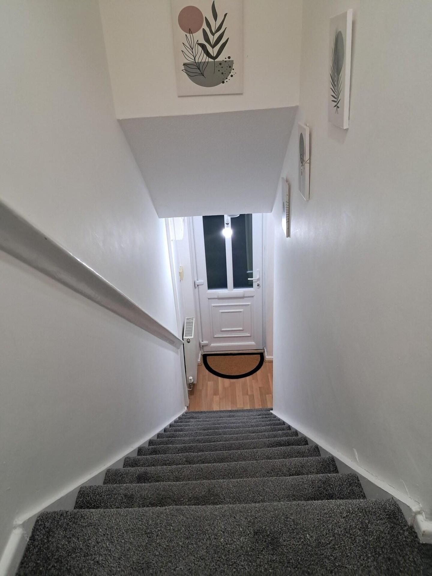 Una escalera conduce a una puerta con ventana, paredes blancas y una pequeña planta decorativa en la pared.