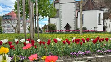 Terrain de l’hébergement
