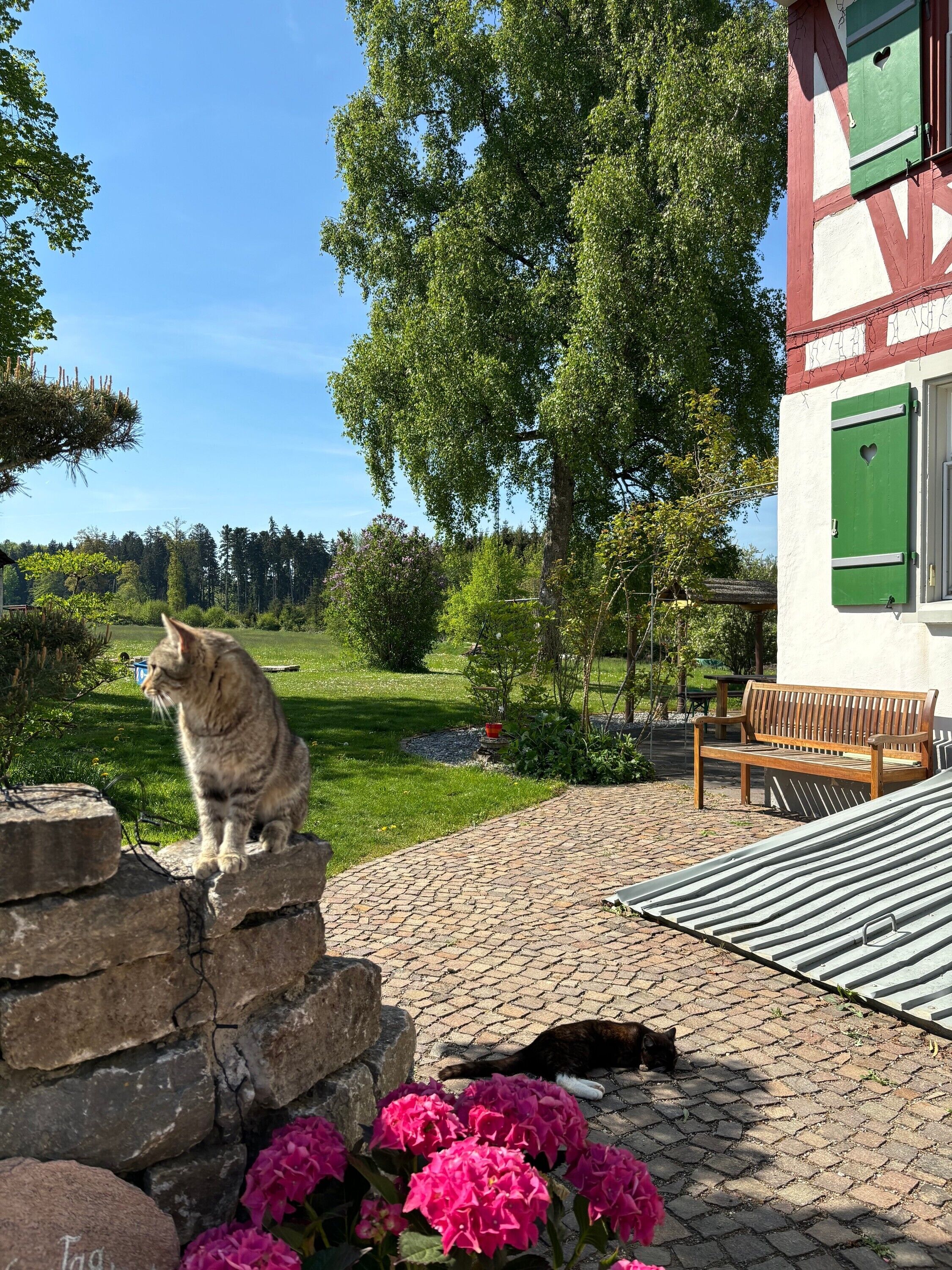 Terrein van de accommodatie