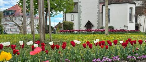 Enceinte de lâhĂ©bergement