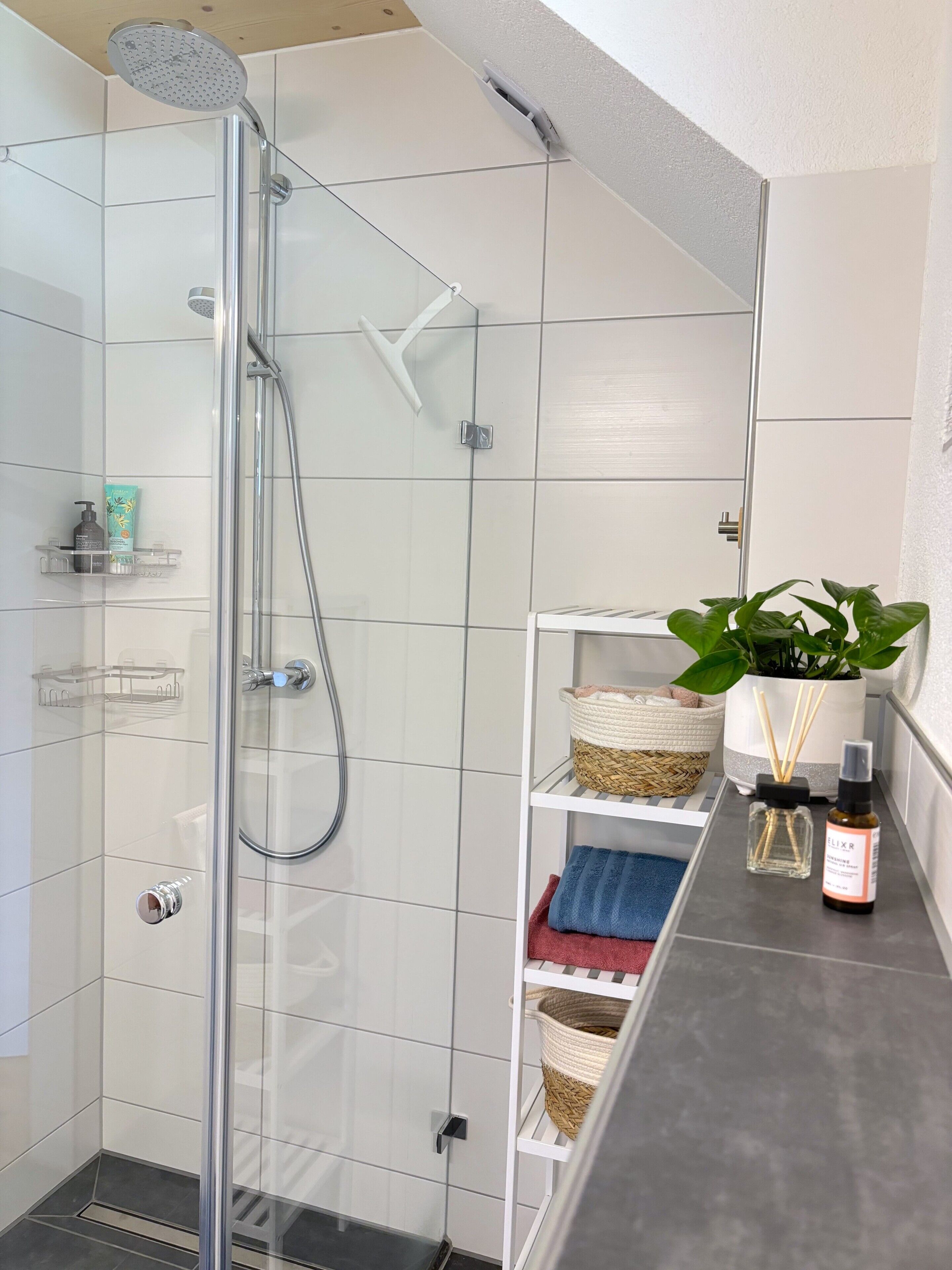 Dusche, Haartrockner, Handtücher
