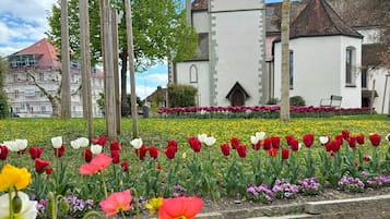 Terrain de l’hébergement