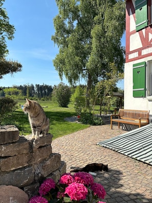 Eine Steinsäule, eine Bank und eine Katze in einem Garten.