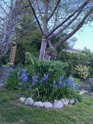 Property grounds - Charming West Coast Retreat – Walk to Beach, Easy Access to FIFA World Cup (West Vancouver)