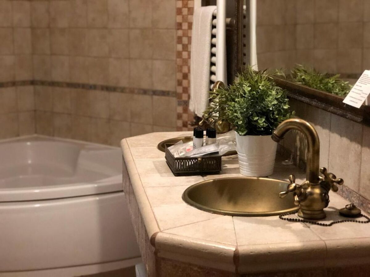 Un baño con bañera, un lavamanos con grifo de bronce, una planta en maceta y artículos de aseo en la encimera.