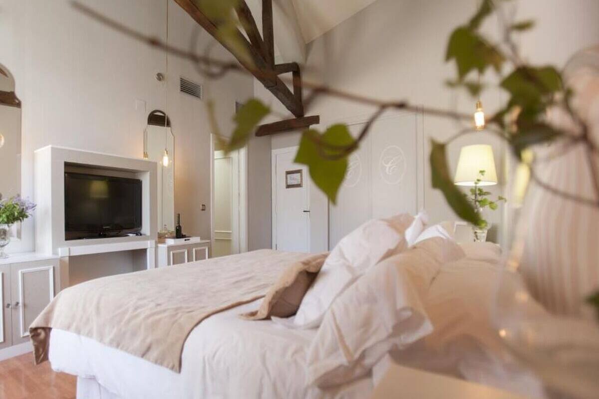 A bedroom with a bed, a television, a desk, and a mirror.