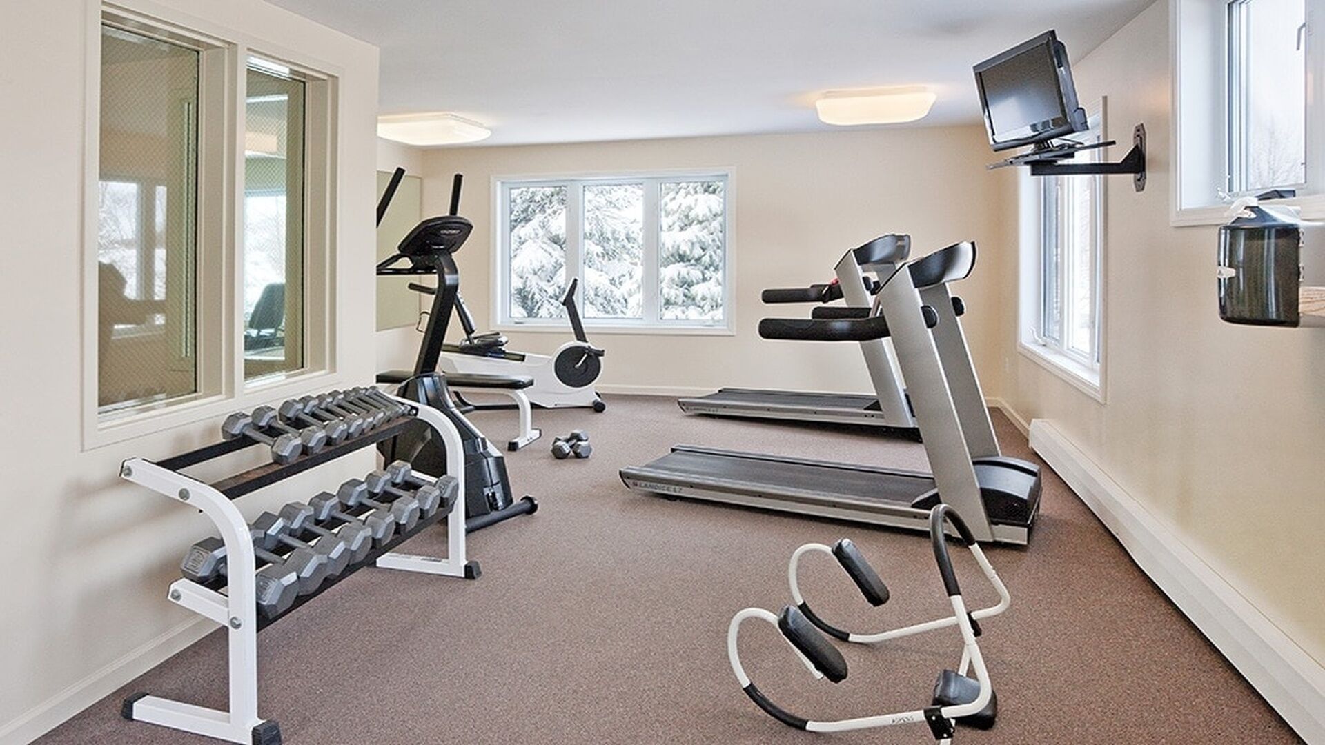 Area fitness
