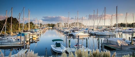 Marina
