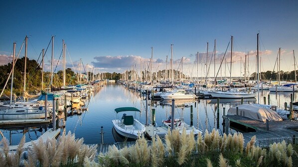 Marina