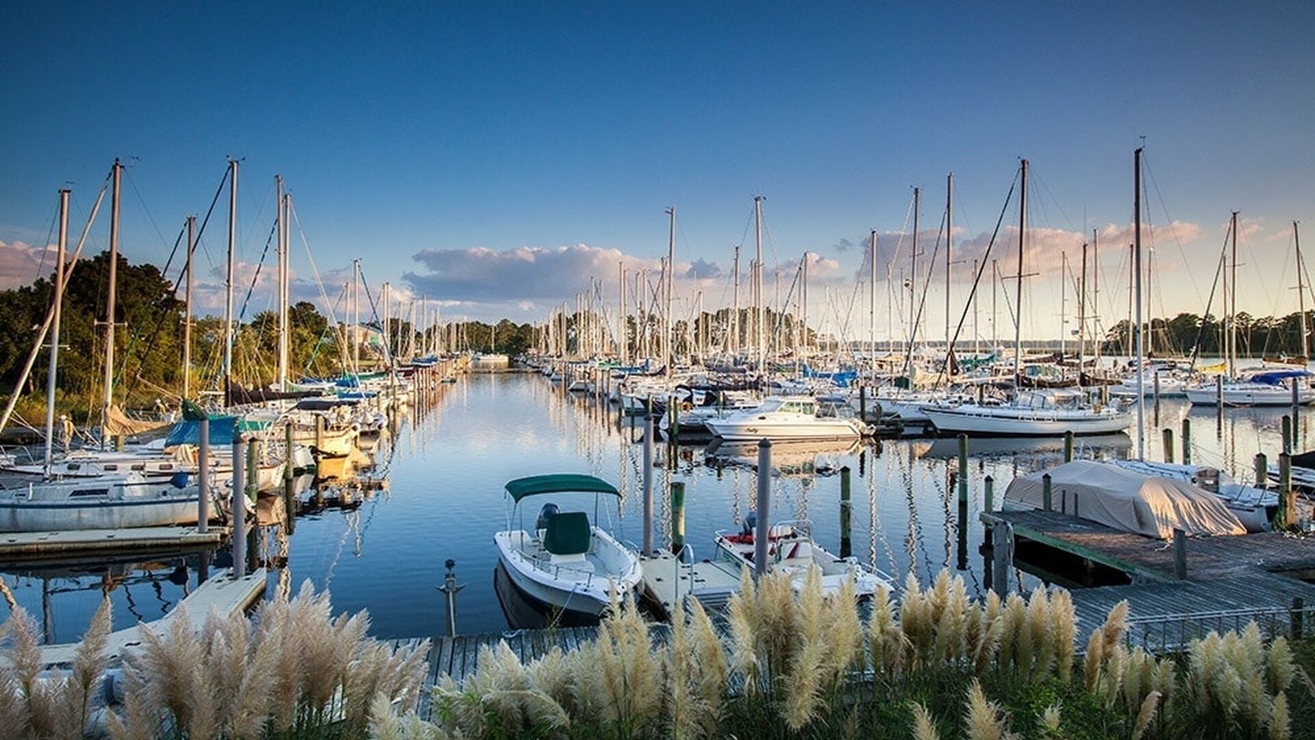 Marina