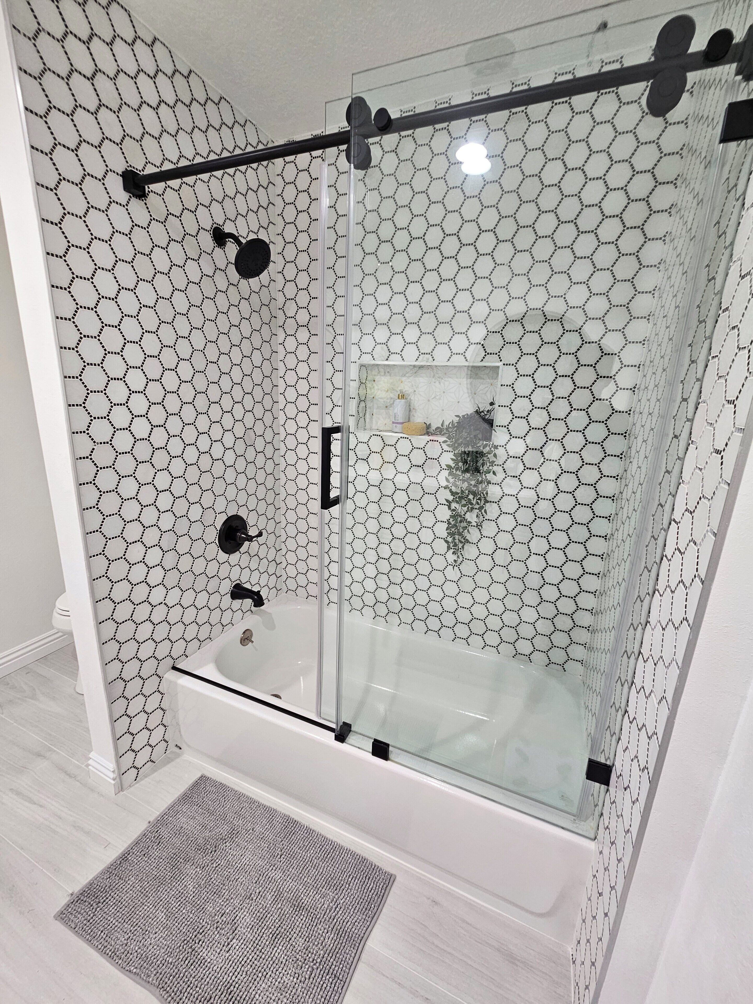Shower, hair dryer, soap, toilet paper
