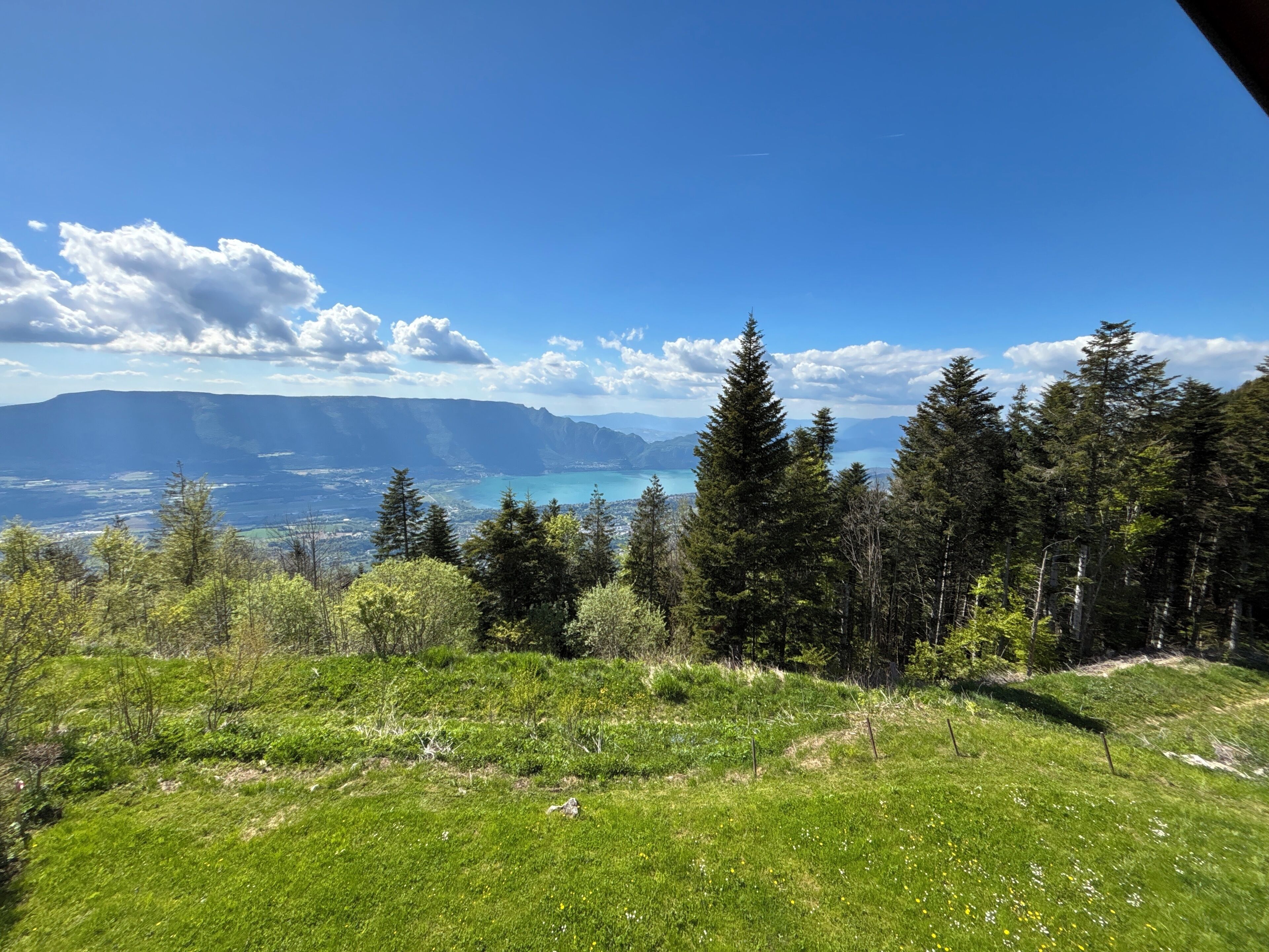 A mountainous landscape with a clear sky, dense forest, and a distant lake.
