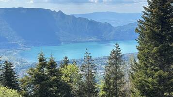 Un paysage montagneux avec un lac et une forêt dense.