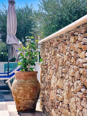 Terrace/patio - Guesthouse Bellavista Posada (Posada)