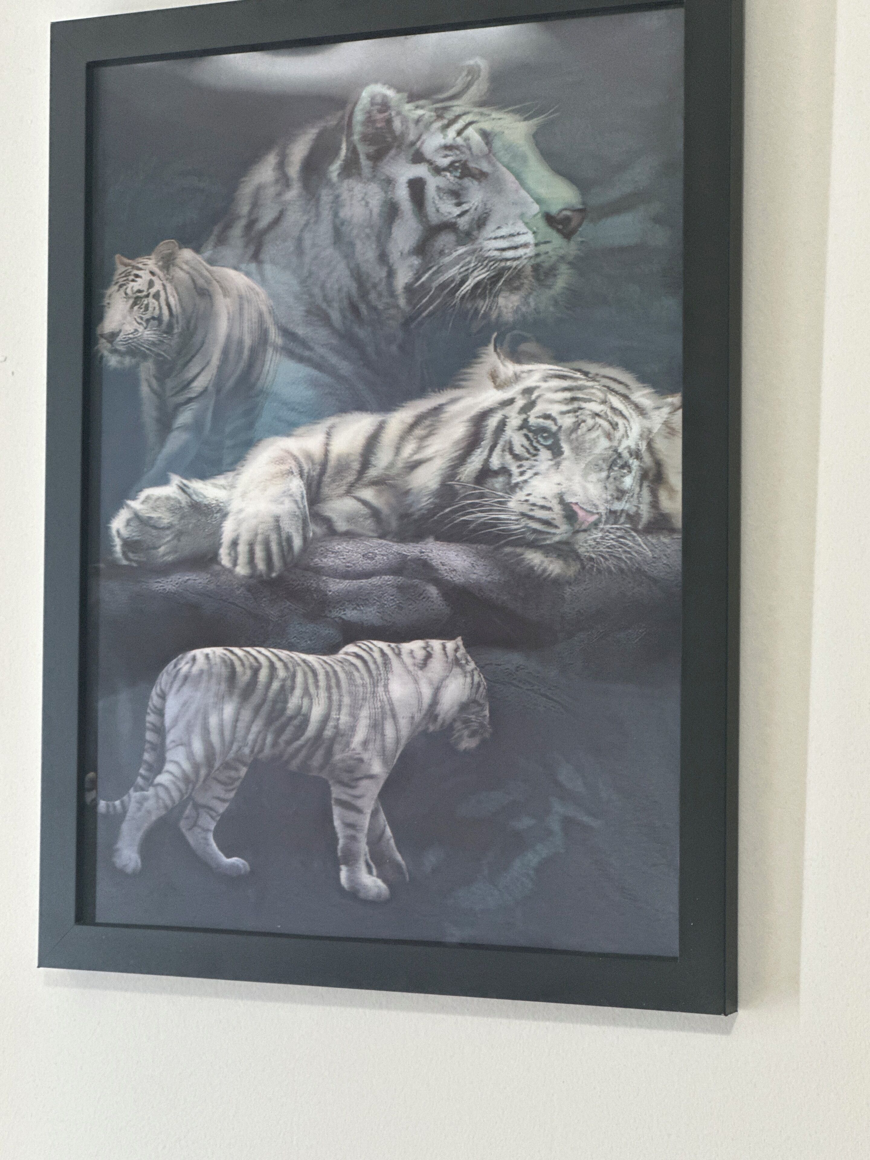 Un tableau encadré représentant des tigres dans leur habitat naturel.