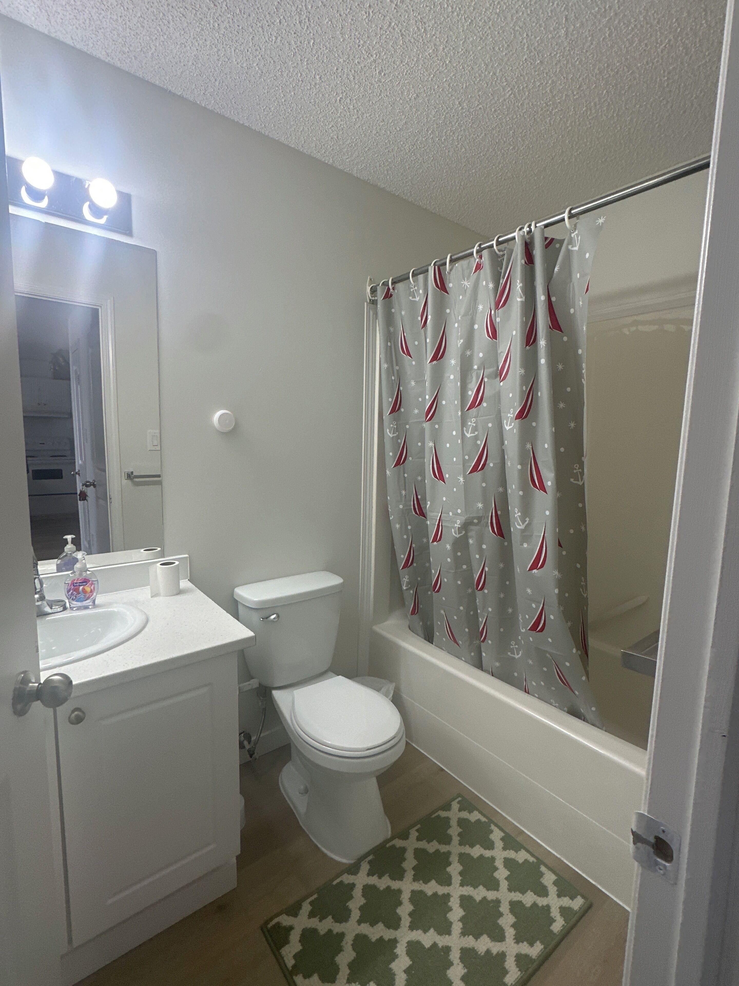 Hair dryer, towels, toilet paper