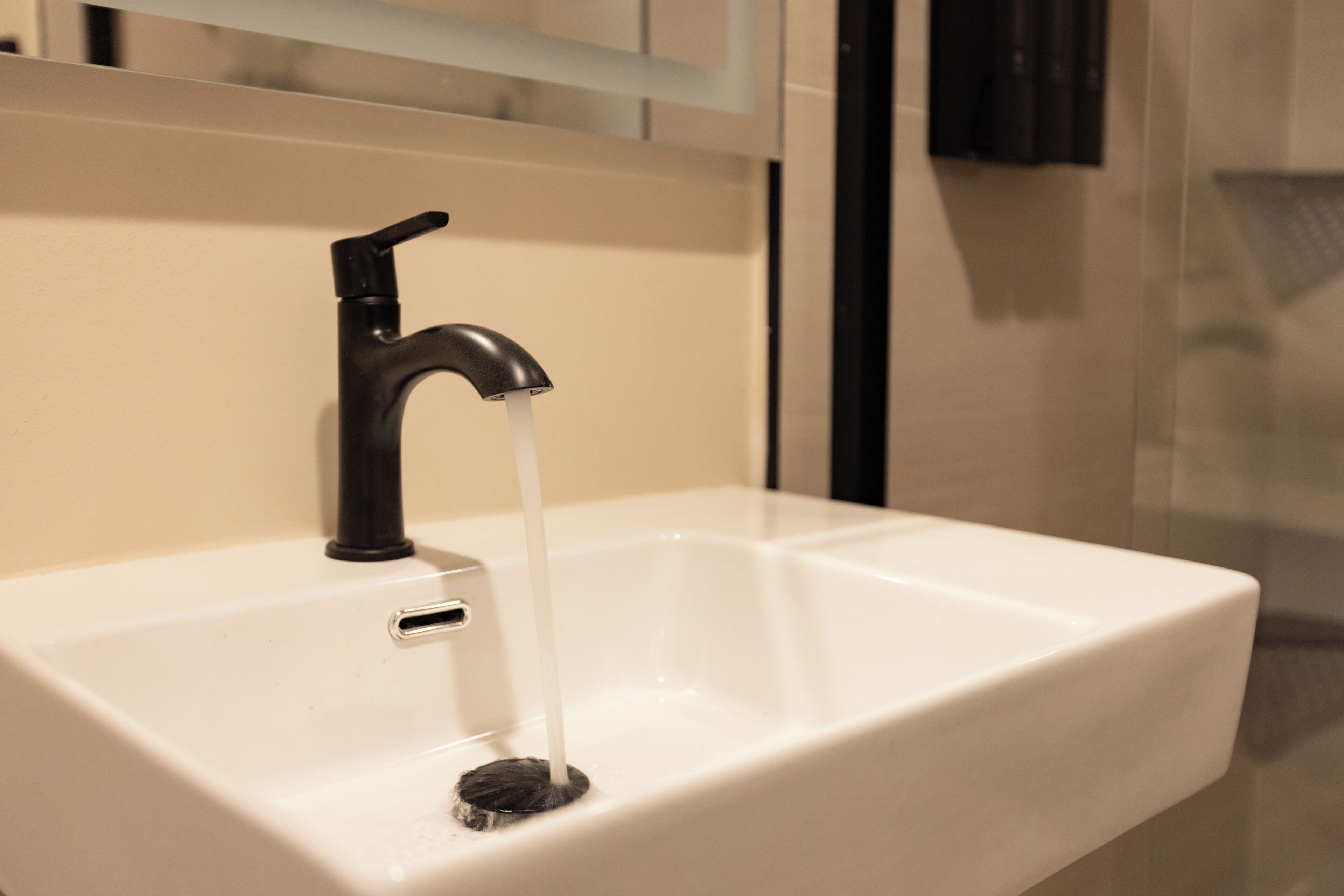 Douche, articles de toilette (gratuits), séchoir à cheveux