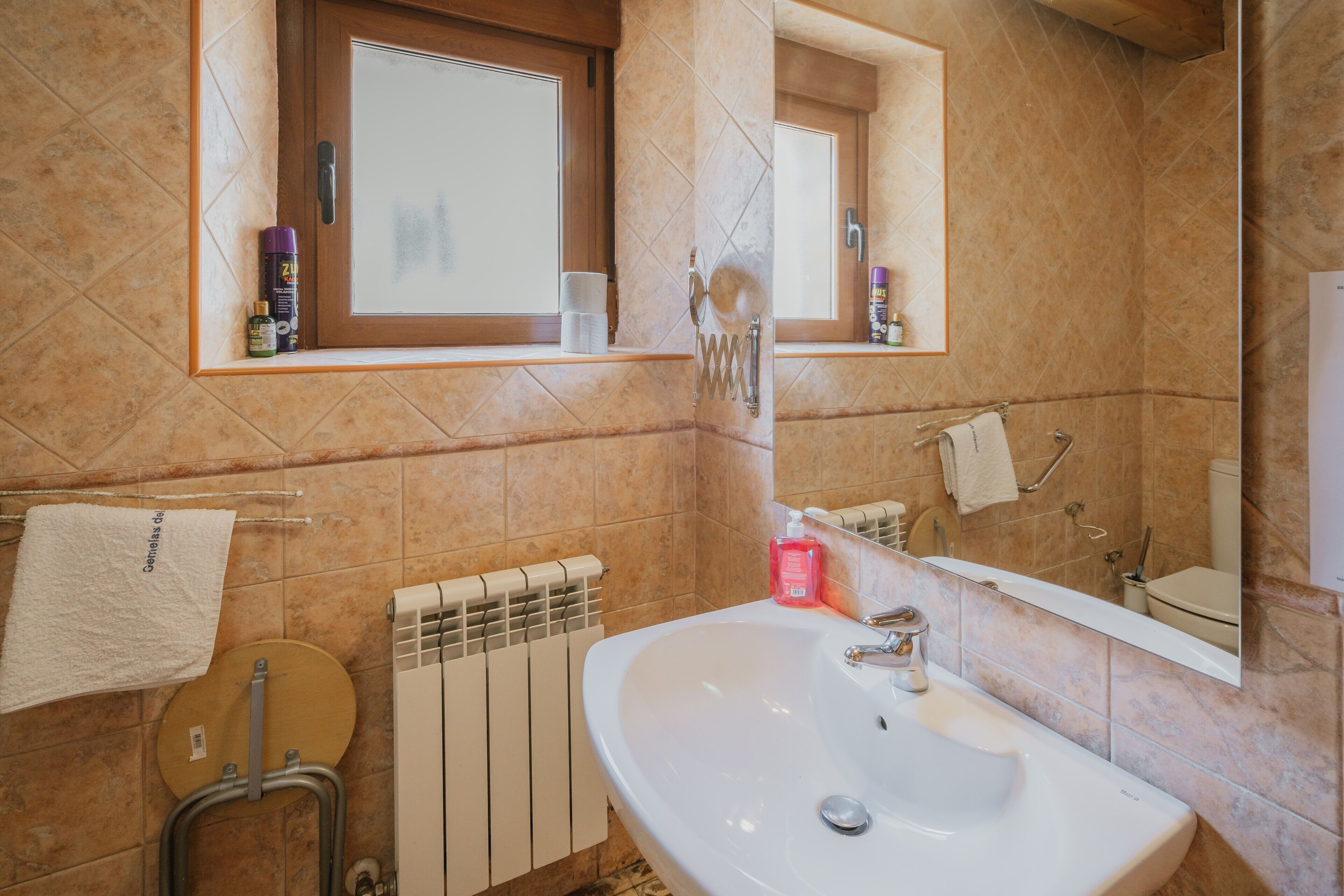 A bathroom with a white sink, a mirror, a towel rack, and a window.
