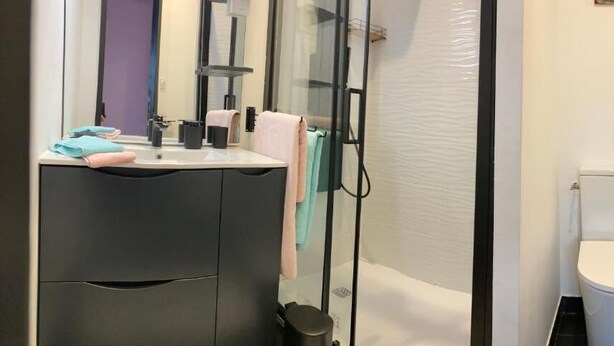 A bathroom with a toilet, a shower, and a sink area with towels. - la tour de saint xandre (Saint-Xandre)