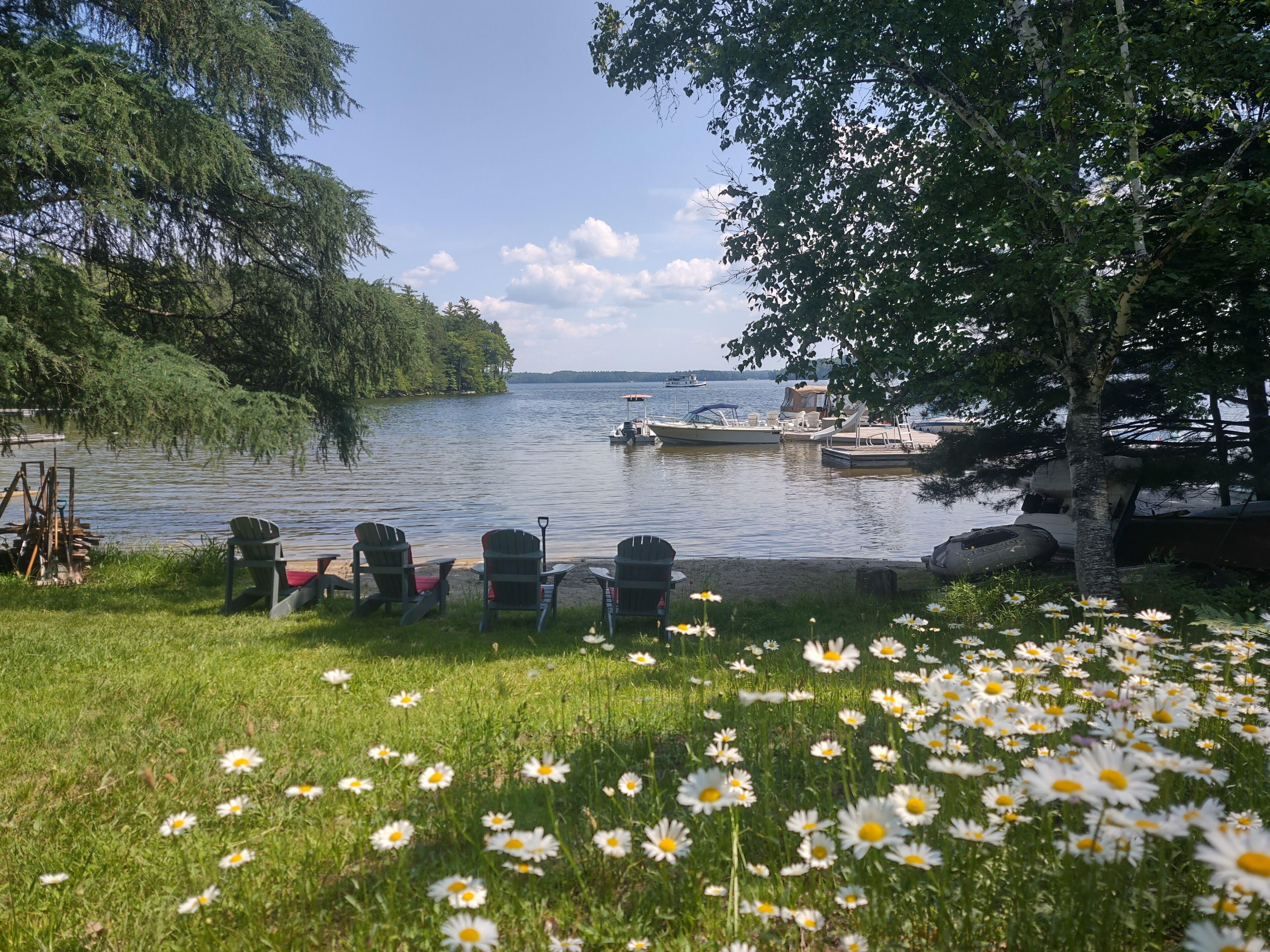 A lakeside view with boats, chairs, and a grassy area with daisies.