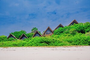 Beach - Sea Eagle Oceanfront (Kutani)