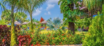 Sea Eagle Oceanfront