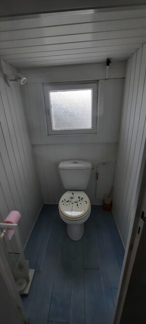 Dusche, Haartrockner, Toilettenpapier