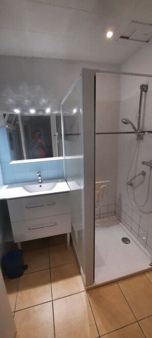 Shower, hair dryer, toilet paper - Beautiful typical Brittany house overlooking the Bay of Morlaix. (Plouezoc'h)