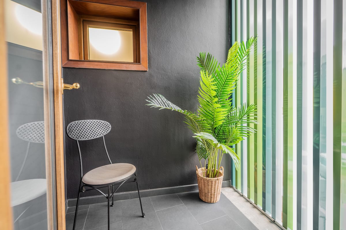 Rincón de una habitación con pared oscura, planta de mimbre, una silla y un espejo con marco de madera.
