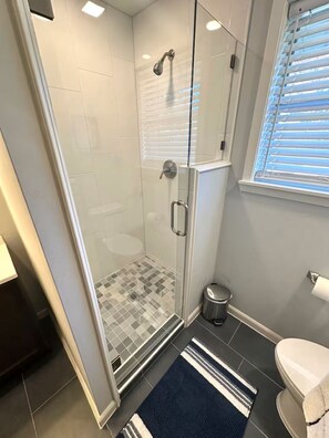 Hair dryer, towels, soap, shampoo