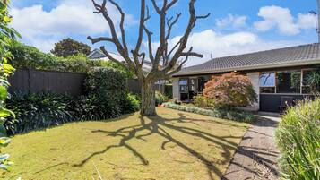 A residential property with a well-maintained lawn, a large tree, and a pathway leading to the house.