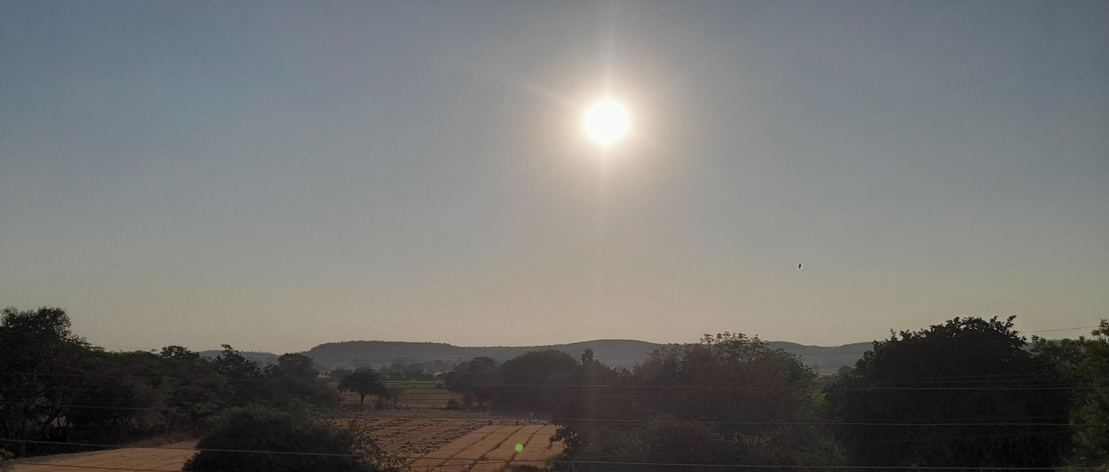 Paesaggio rurale con una strada sterrata, campi e alberi sotto un cielo sereno.