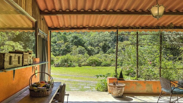 Un'area esterna coperta con un tavolo, sedie, un cesto di frutta, una pianta in vaso e vista su un rigoglioso giardino.