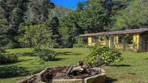 Una casa rustica con tetto in tegole, circondata da un giardino curato e una fitta foresta.