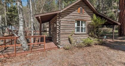 Whitefish Lake 3 Bedroom cabin with Private Dock