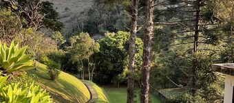 Araucaria Valley Site