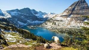 Un paysage de montagne avec un lac, une chèvre et un chien.