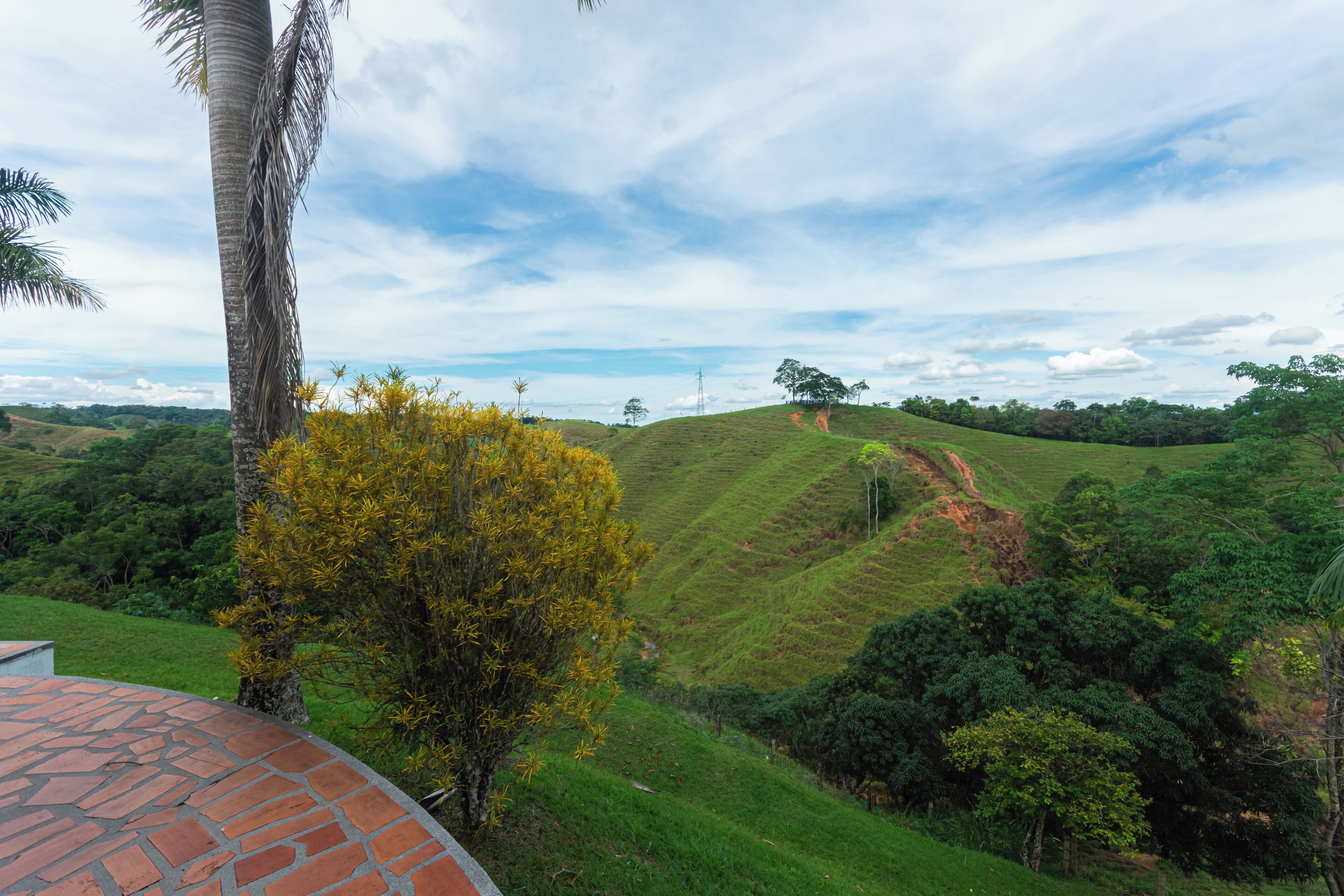 Un paysage comprenant un bâtiment aux lignes courbes, une végétation luxuriante et un terrain vallonné.