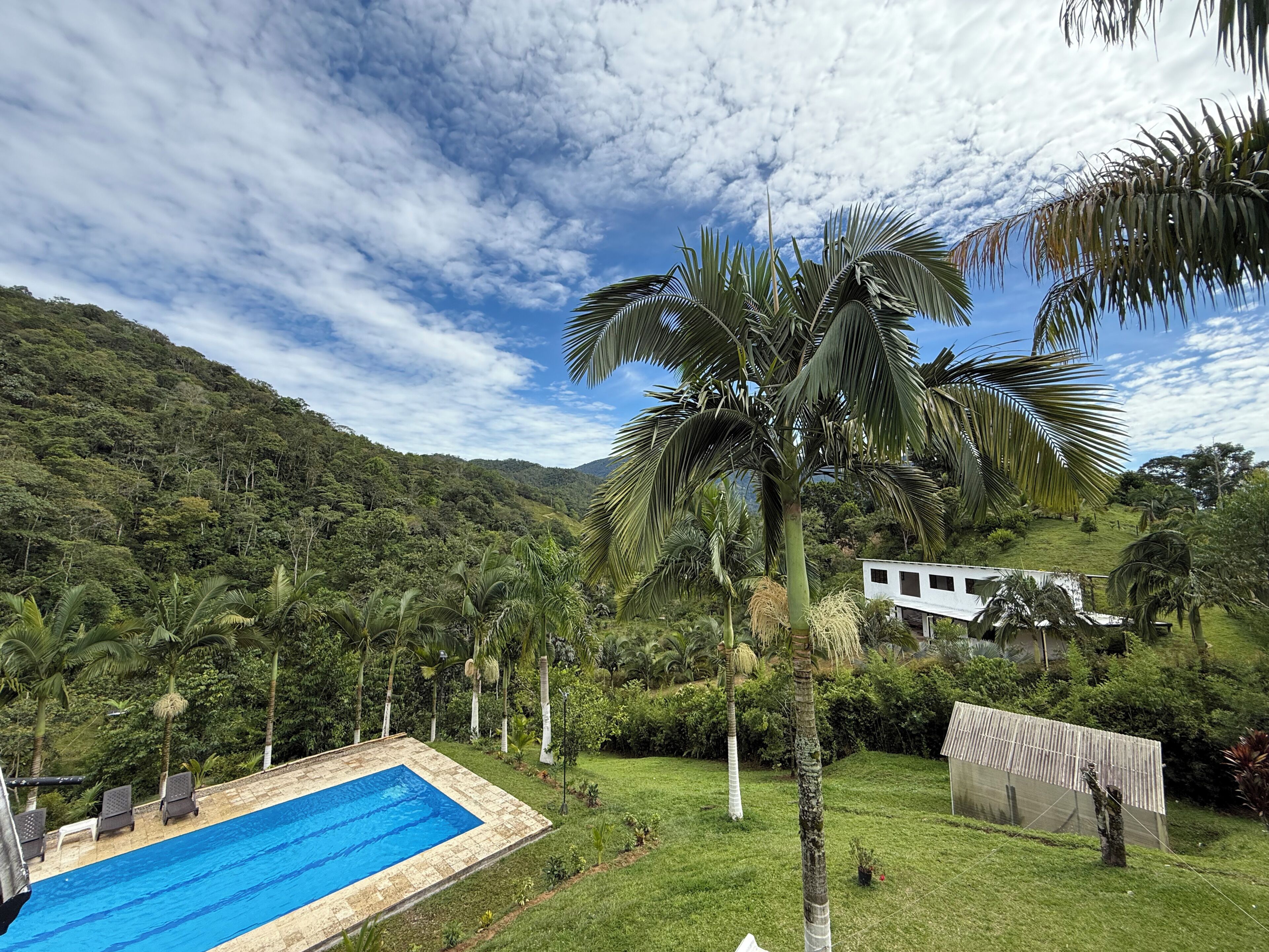 Superior Room | Pool | 2 outdoor pools, sun loungers