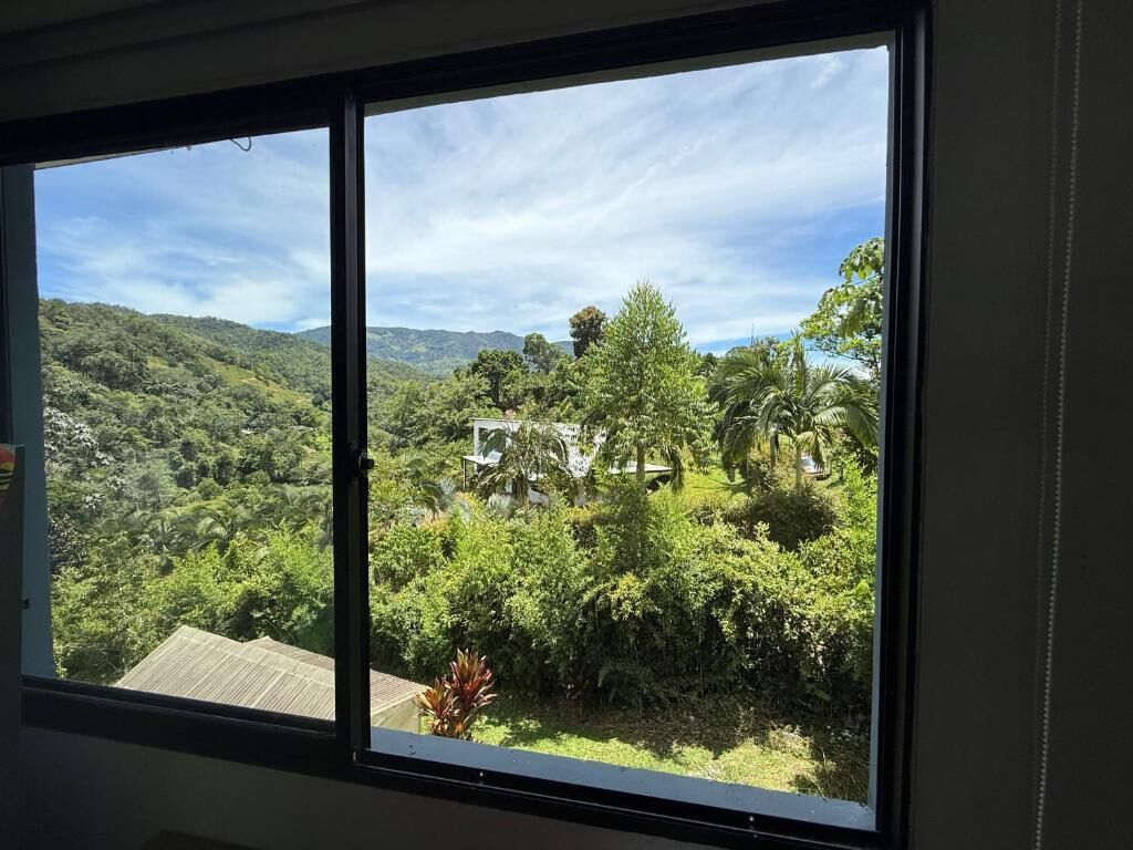 Superior Room | View from room